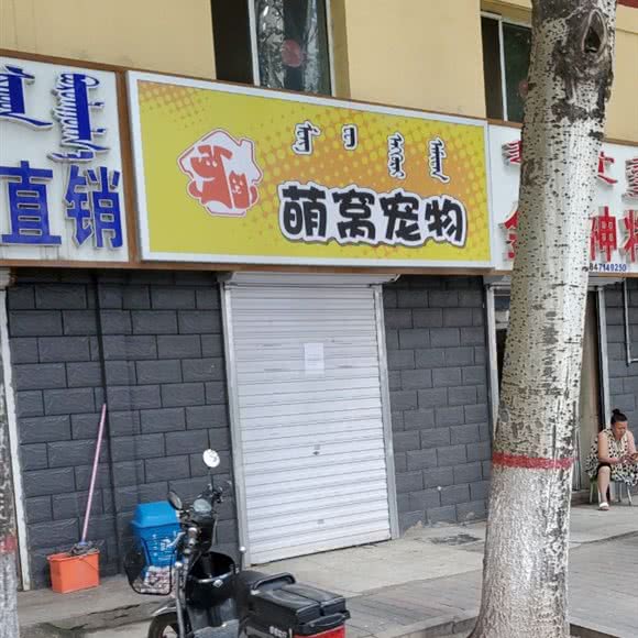 萌窝宠物:呼和浩特市回民区海亮附近
