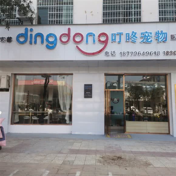 叮咚宠物医疗美容:吉安市泰和县