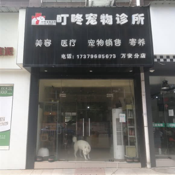 万安县叮咚宠物店:吉安市万安县