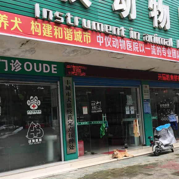 中仪动物医院:宜春市丰城市