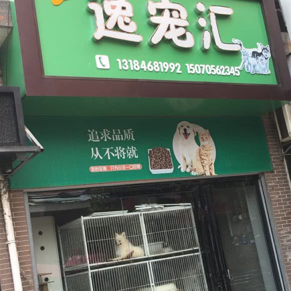 逸宠汇:宜春市高安市