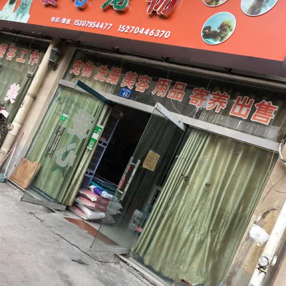 爱心宠物:宜春市高安市