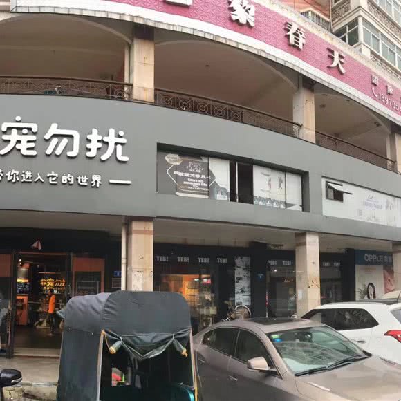 非宠勿扰宠公馆:宜春市高安市