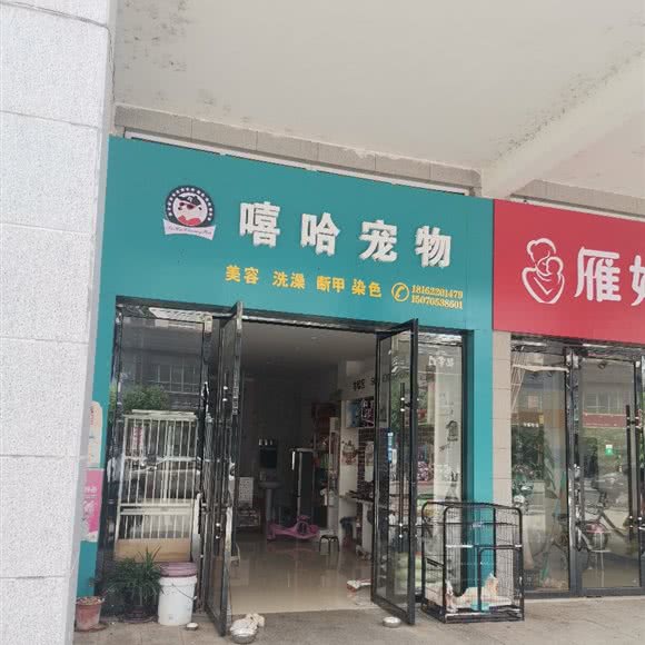 嘻哈庞物:宜春市高安市