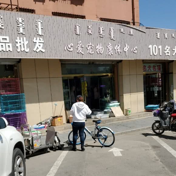心爱宠物康体中心:呼和浩特市回民区牛街附近