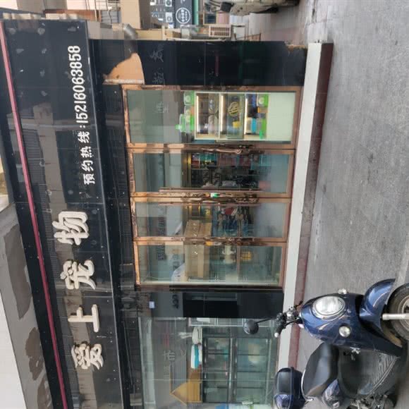 爱上宠物:上饶市广丰区
