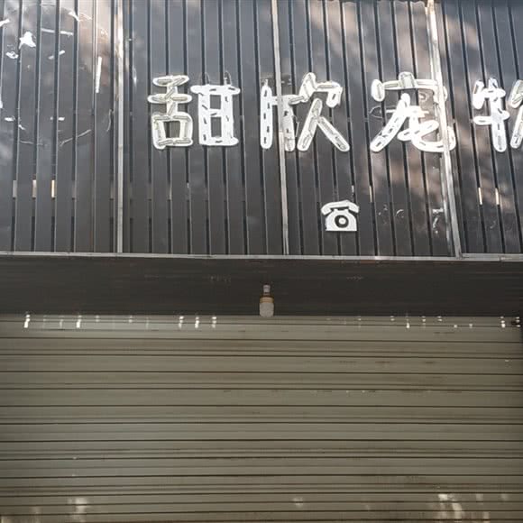 甜欣宠物:上饶市玉山县
