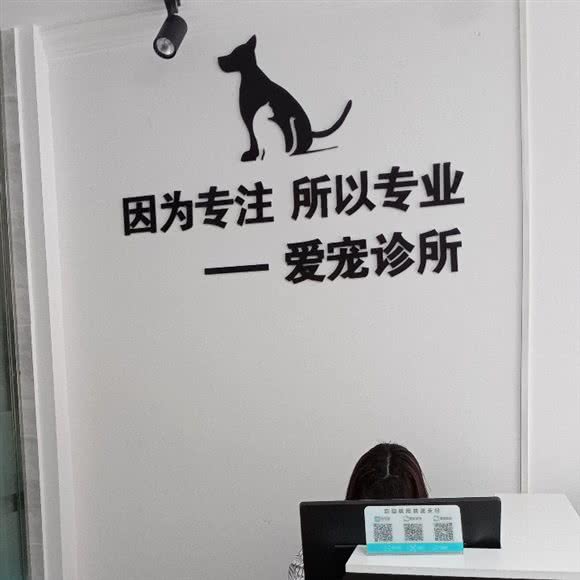 爱宠宠物诊所:上饶市弋阳县