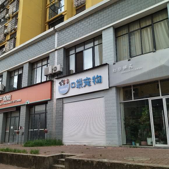 口袋宠物店:上饶市鄱阳县