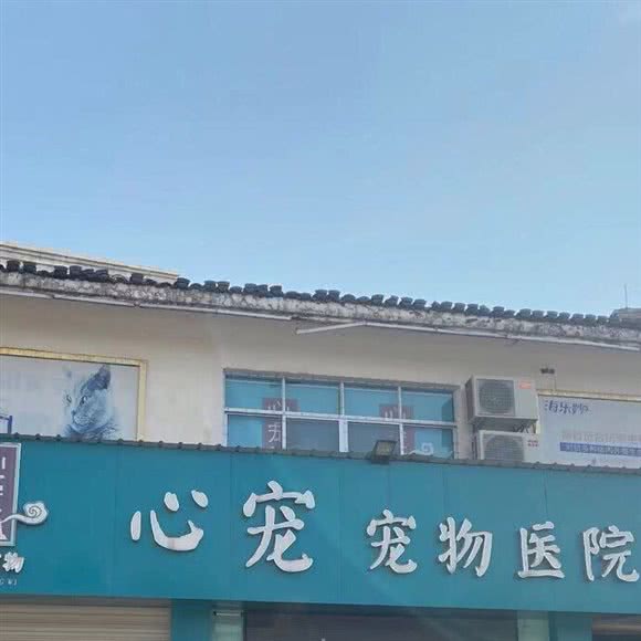 心宠宠物医院:上饶市鄱阳县
