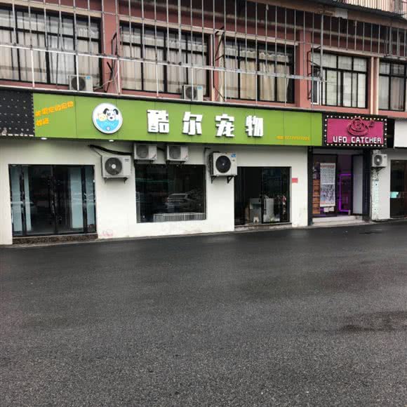 酷尔宠物:上饶市德兴市