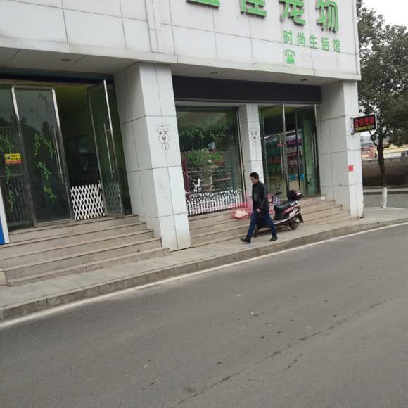 宜佳宠物时尚生活馆:上饶市德兴市