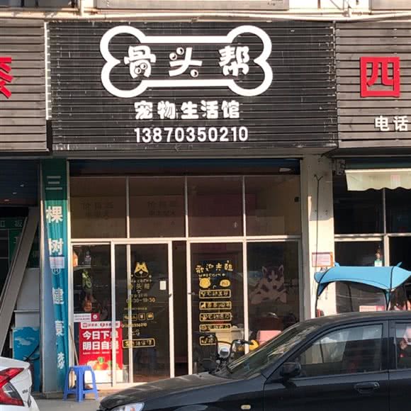 铜矿骨头帮宠物店:上饶市德兴市