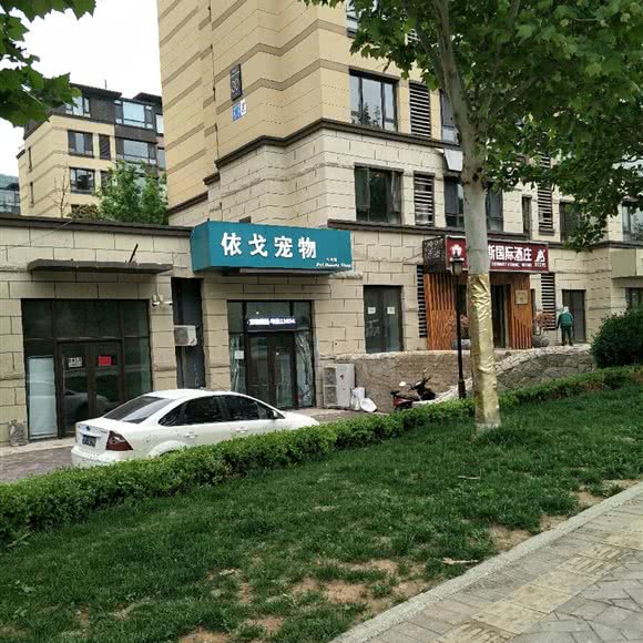 依戈宠物:济南市市中区