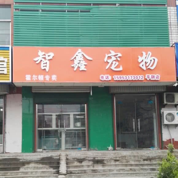 智鑫宠物(平阴店):济南市平阴县