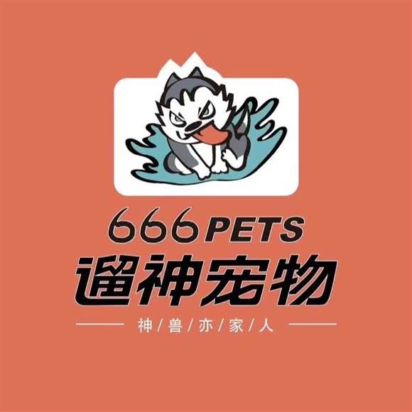 遛神宠物:济南市商河县