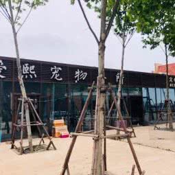 爱熙宠物会所:青岛市黄岛区