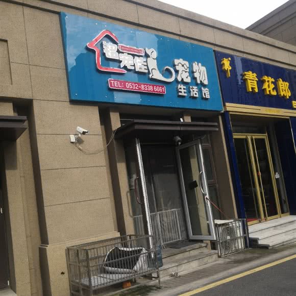 铭宠佳狗狗生活馆:青岛市李沧区