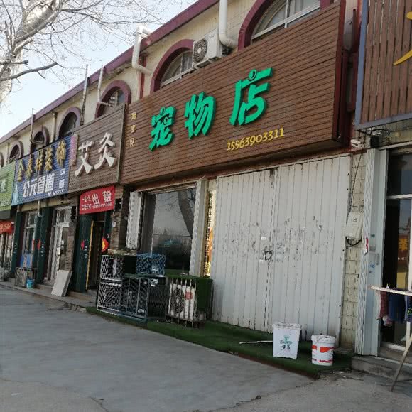 宠宝贝宠物店:青岛市即墨区