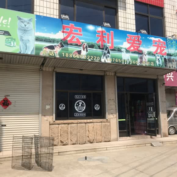 宏利爱宠(蓝村店):青岛市即墨区