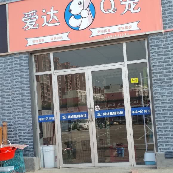 爱达Q宠:呼和浩特市回民区财经大学新校区附近