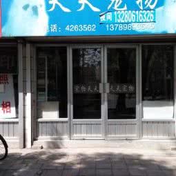 天天宠物:淄博市博山区