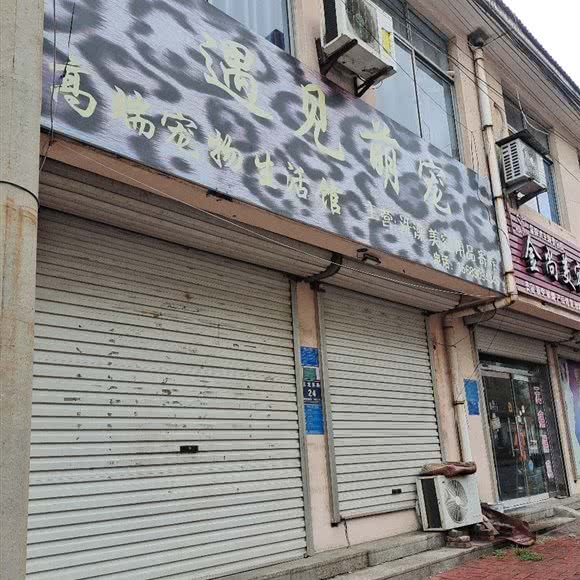 遇见萌宠:淄博市博山区
