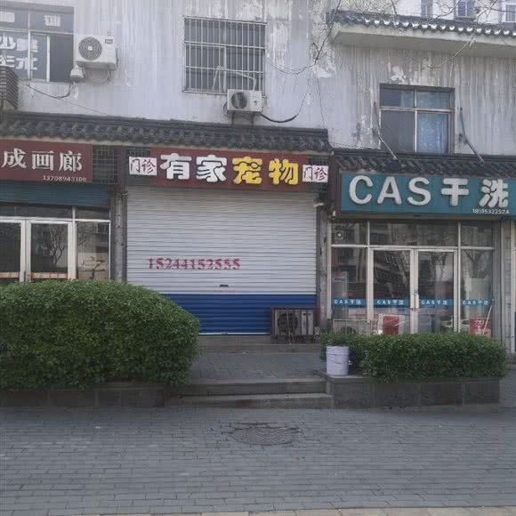 有家宠物门诊:淄博市博山区