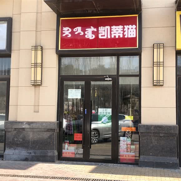 凯蒂猫:呼和浩特市回民区金海附近