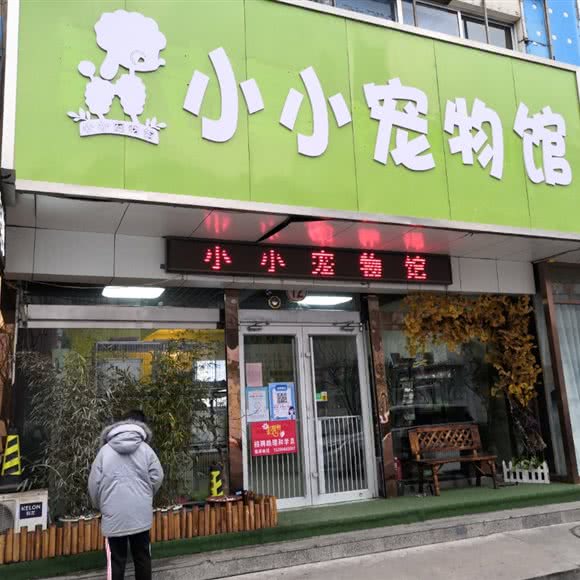 小小宠物馆:淄博市临淄区