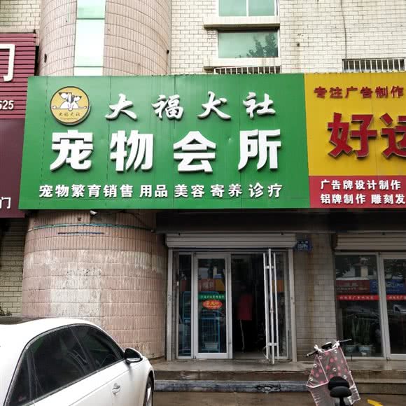 大福犬社宠物会所:淄博市临淄区