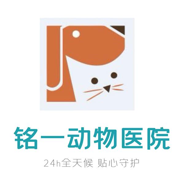 24小时铭一动物医院:呼和浩特市回民区金海附近