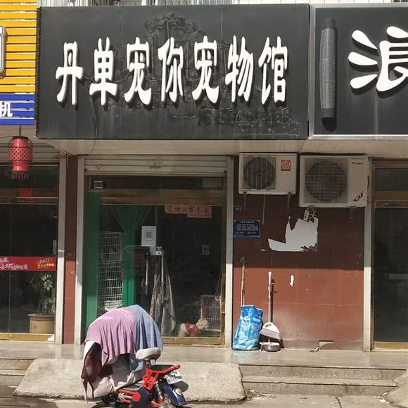 丹单宠你:淄博市桓台县