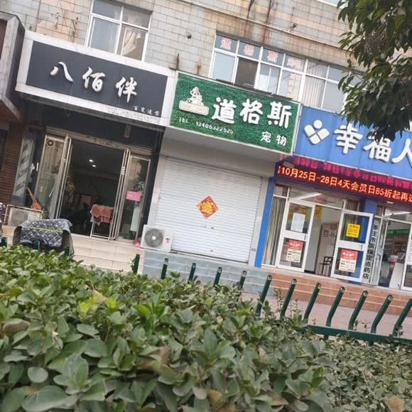道格斯宠物:枣庄市市中区
