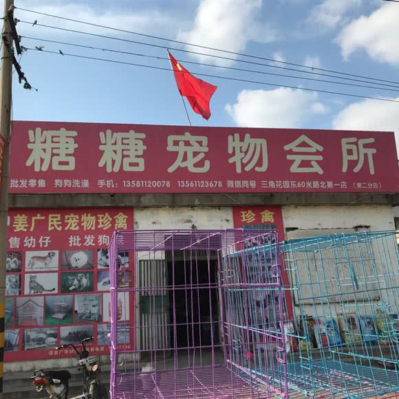 糖糖宠物会所:枣庄市市中区