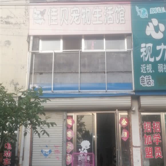 佳贝宠物生活馆:枣庄市市中区
