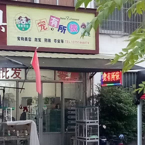 宠有所依:枣庄市薛城区