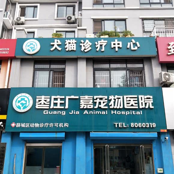 枣庄广嘉宠物医院犬猫诊疗中心:枣庄市薛城区