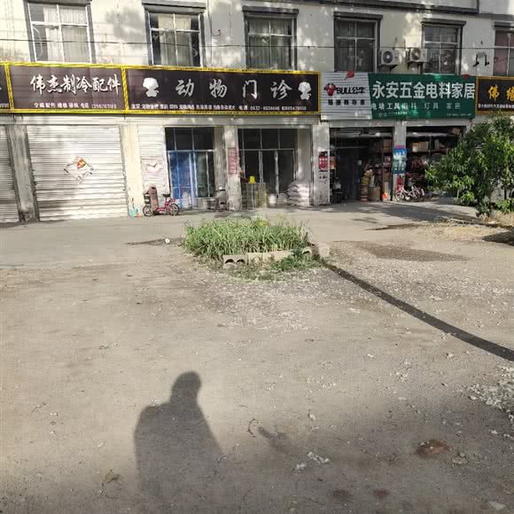 动物门诊:枣庄市台儿庄区
