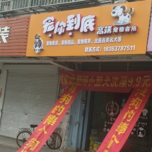 宠你到底高端宠物会所:枣庄市滕州市