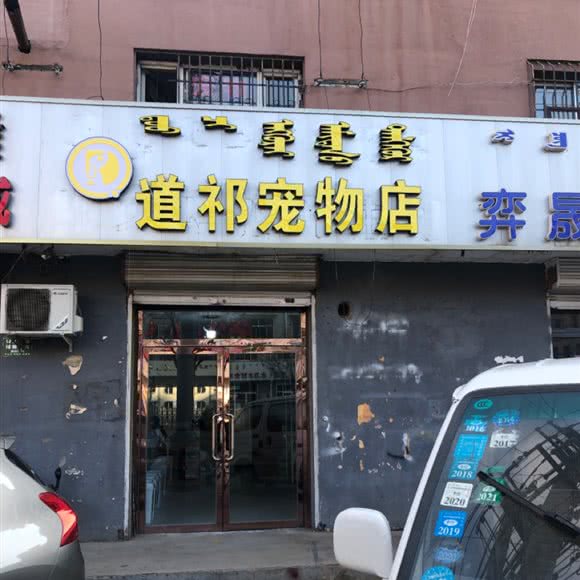 道祁宠物店:呼和浩特市玉泉区大召附近