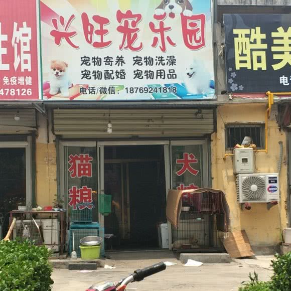 兴旺宠乐园:枣庄市滕州市