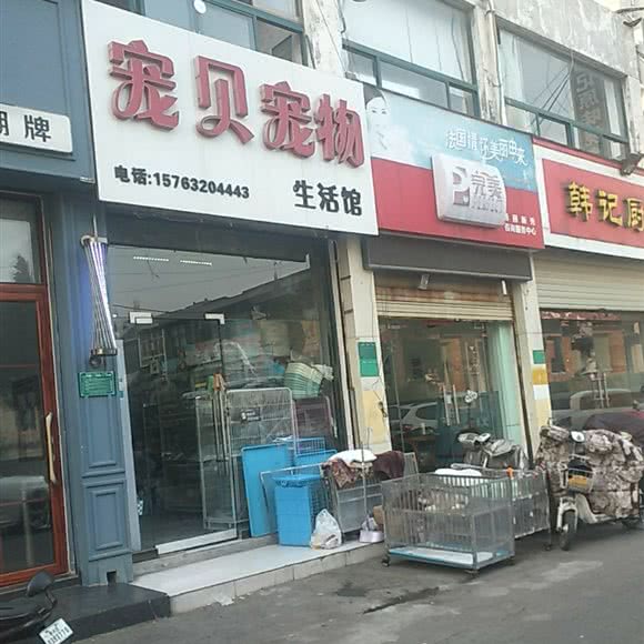 宠贝宠物狗生活馆:枣庄市滕州市
