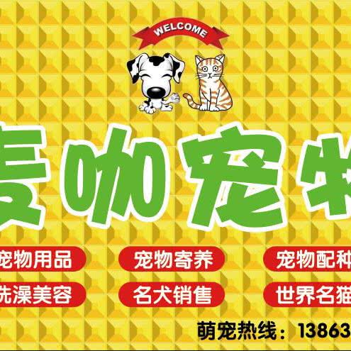 麦咖宠物店:枣庄市滕州市