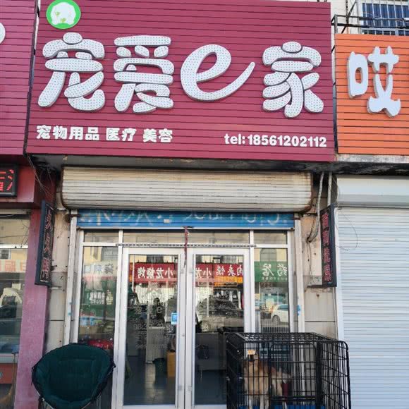 宠爱e余家:东营市河口区