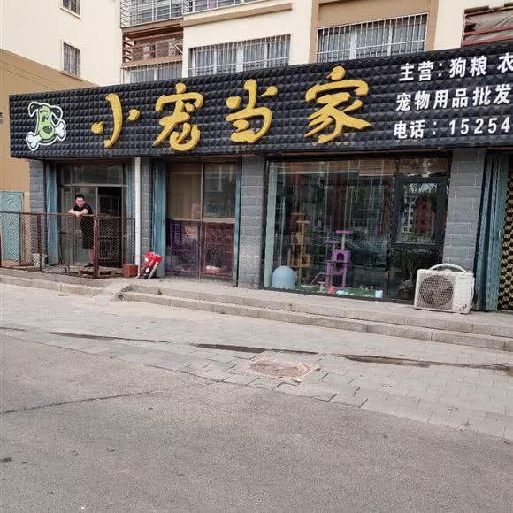 小宠当家:东营市河口区