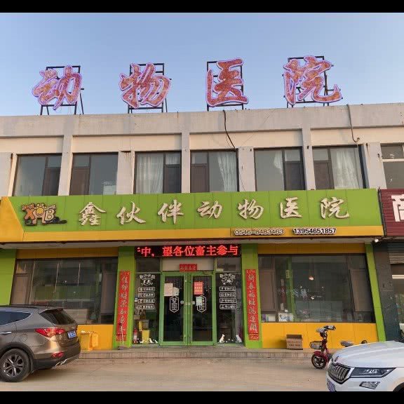 鑫伙伴动物医院:东营市河口区