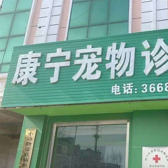 康宁宠物诊所:东营市河口区
