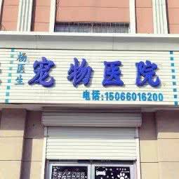 杨医生宠物医院:东营市垦利区