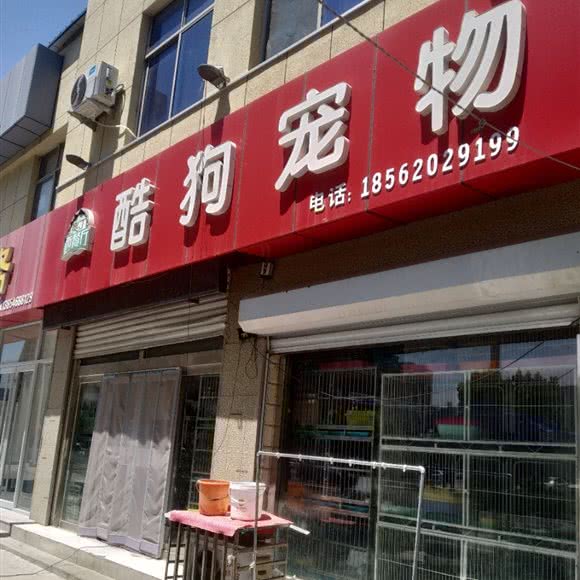 酷狗宠物:东营市利津县